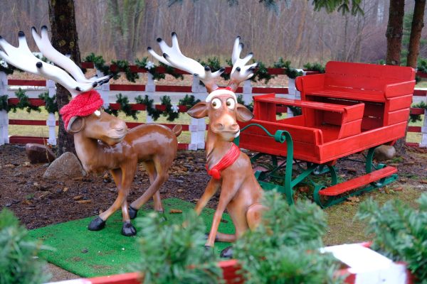 6A3700B4-F47C-4515-BCE9-3FB2452ACBCC-536-00000030443A56FE