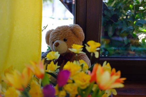 9D31257E-3E52-4554-95B4-164C40BB4F42-367-000000069927596C